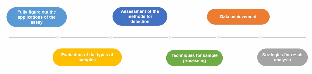 Fig.1 The process of flow cytometry assay development. (Creative Biolabs Original)